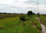 Membuka Isolasi Wilayah, Warga Jenamas Berharap Jalan Rantau Bahuang – Paminggir HSU (Batas Kalsel) Dapat Segera Direalisasikan